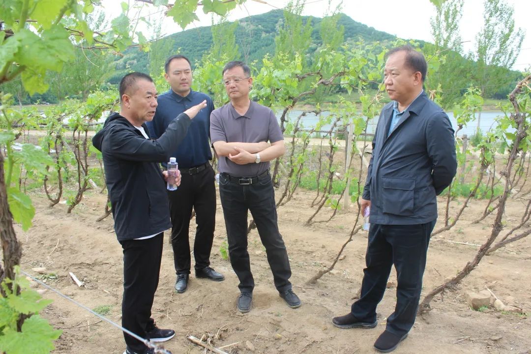 640?wx_fmt=jpeg ͼƬ