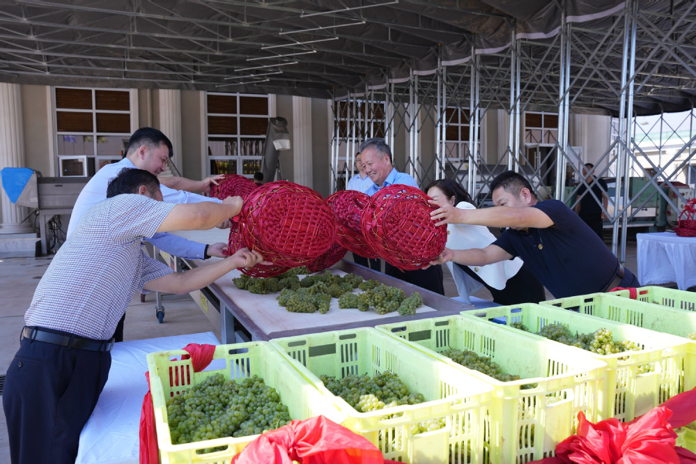 3353bdf4-afae-475a-9def-87fe9e15cccc 3353bdf4-afae-475a-9def-87fe9e15cccc