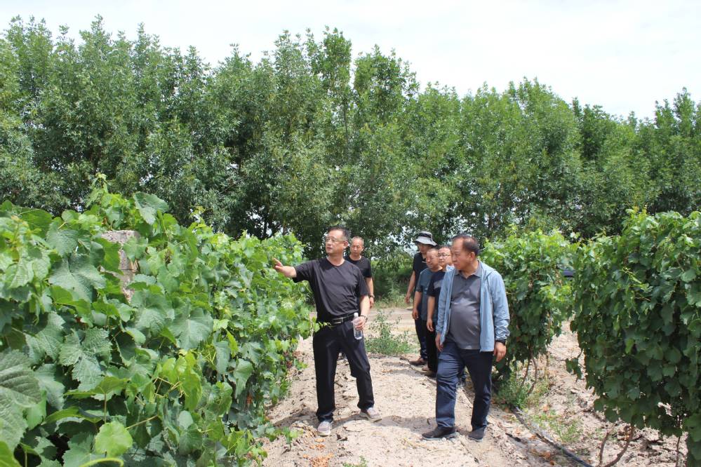 92fb74bb-0692-4454-9b3b-a3b85f299433