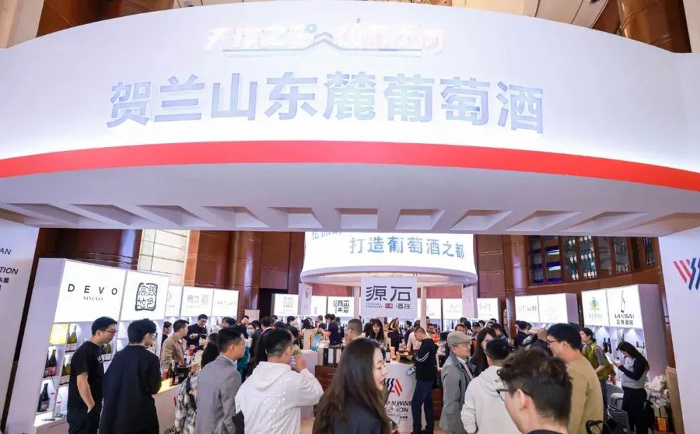 ����֮�� - dpzx.com