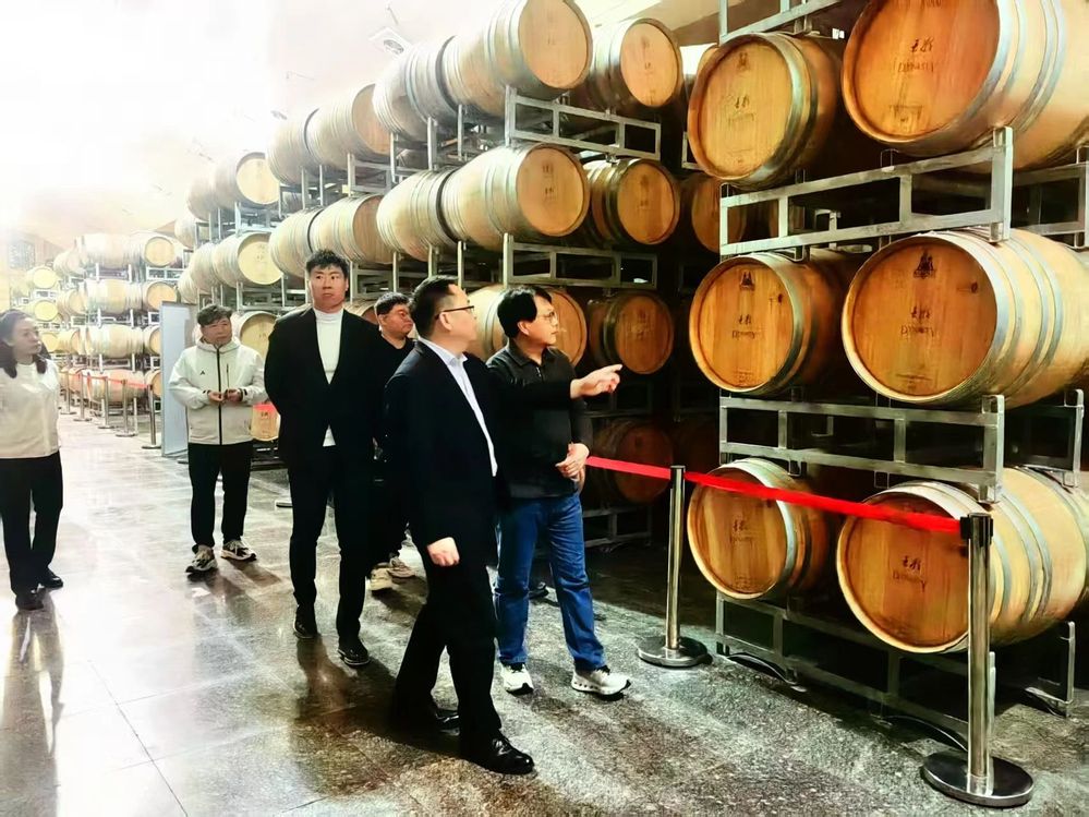 ����֮�� - dpzx.com