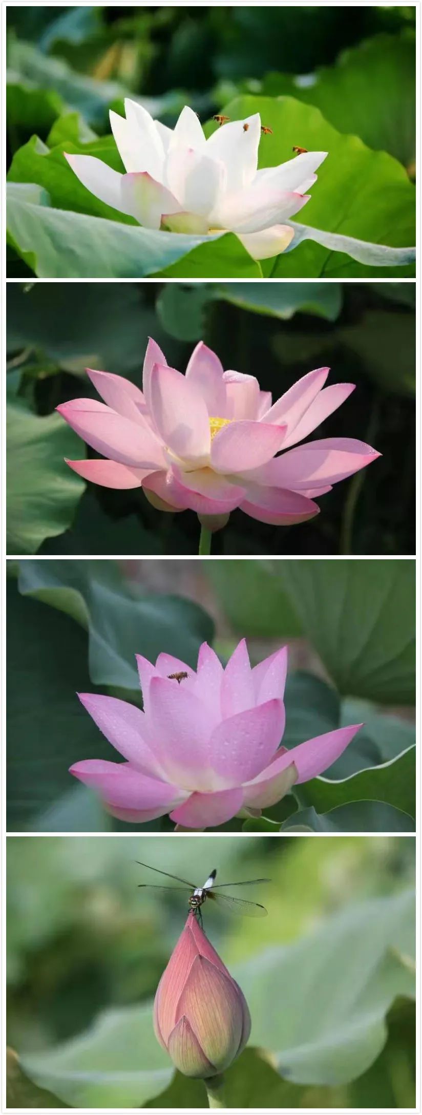 8167df20-edaf-4461-be0c-bdd7247dce97