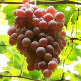 722c26f2-7228-48b3-8162-e7494ae6ad12