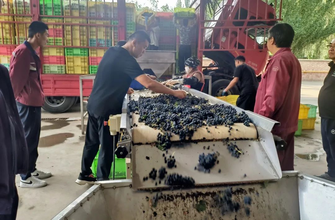 640?wx_fmt=jpeg 图片