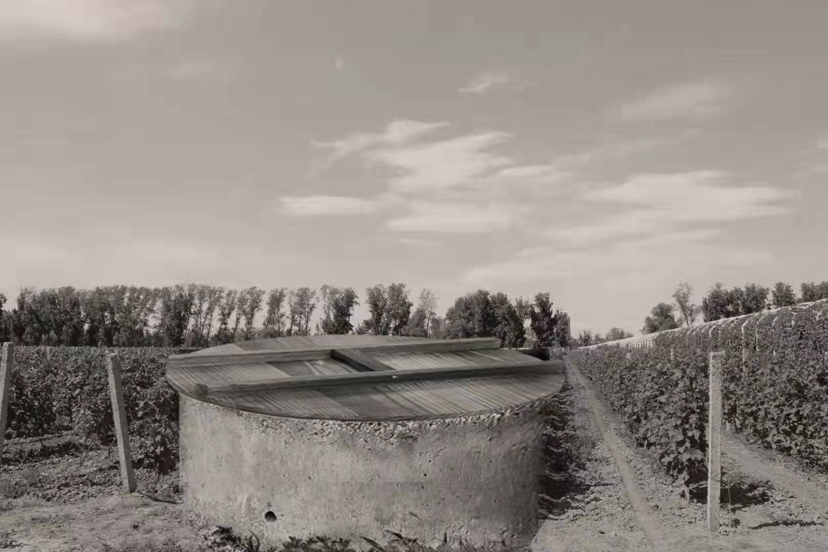 369ea197-b1a0-44b5-9e8e-18181b714919