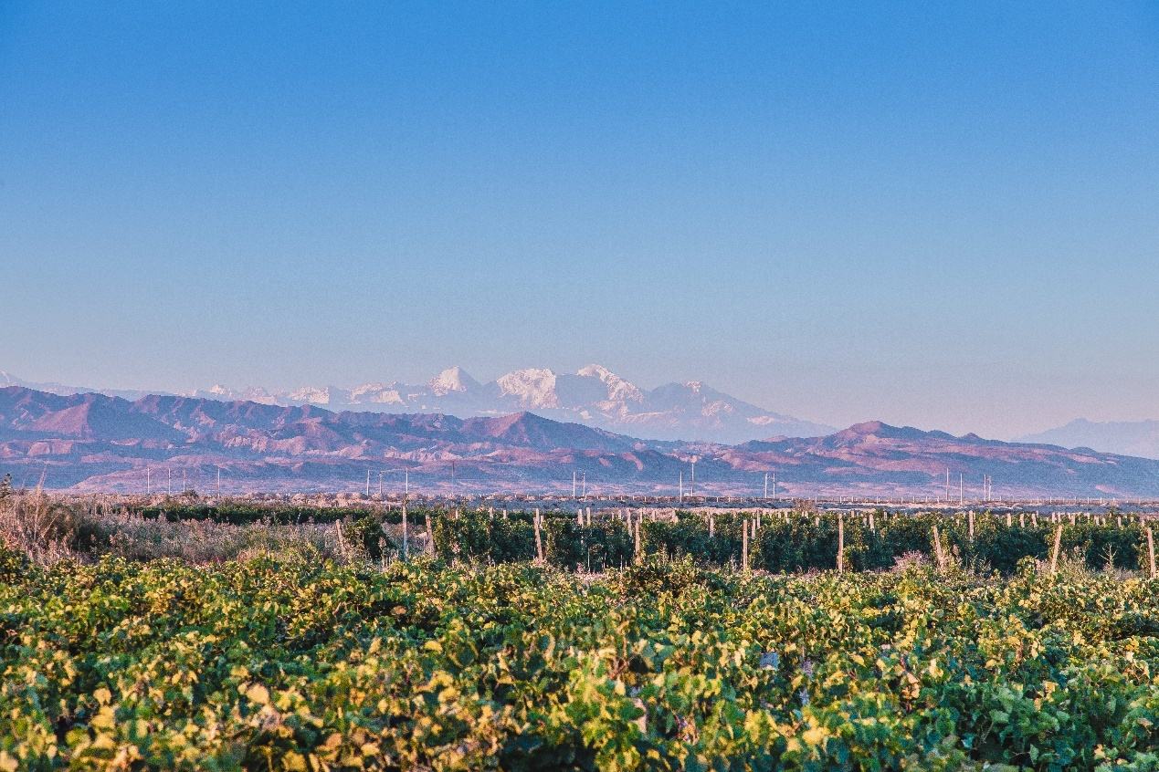 aa5c7d39-a486-4746-917a-2fdc56306f4f