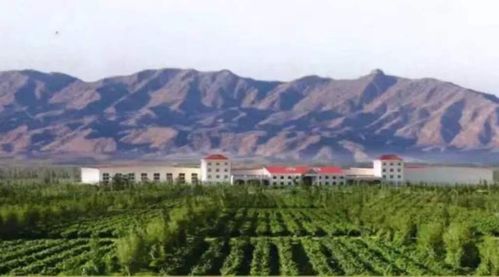 c2a0fa84-be09-4997-828a-5090bc94799b