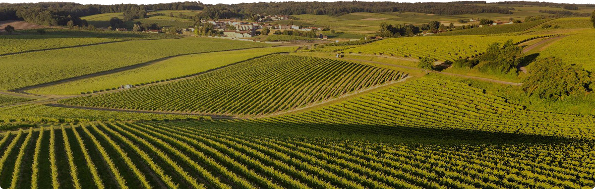 7dab09f5-4555-4104-97cd-8f376b0916af 7dab09f5-4555-4104-97cd-8f376b0916af