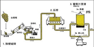 1639450805730987.jpg 82.jpg