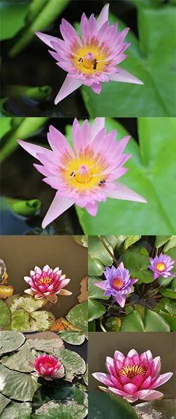 fff6714a-78c1-40a8-be33-e9ead7cf7203 fff6714a-78c1-40a8-be33-e9ead7cf7203